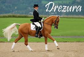 Drezura